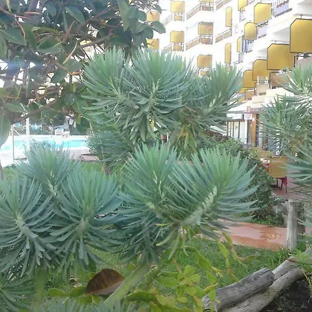 Europa Daire *